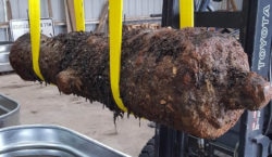 An encrusted cannon
