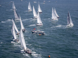 Newport Bermuda Race