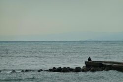 man on rock fishing in Japan