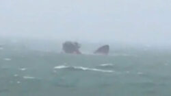 Seamark sinking.