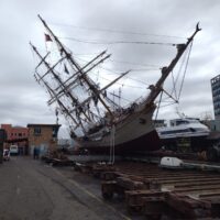 Bark Europa Cape Town