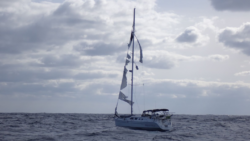 Missing sailor found alive on tattered vessel two weeks after setting sail to Bermuda US Coastguard (1)