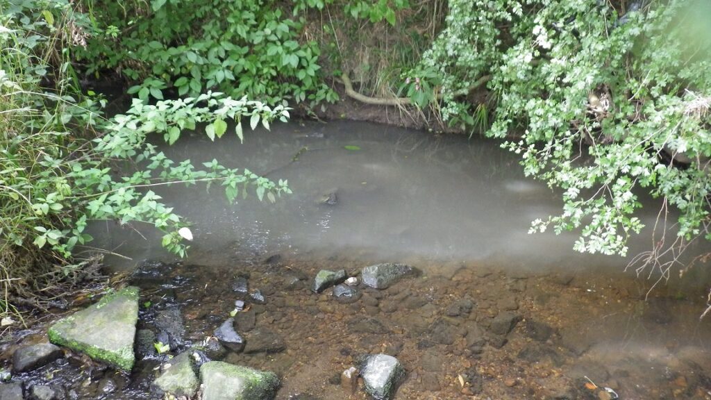 Hookstone Beck pollution