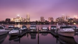 Boats at a marine in Cambridge, USA