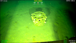 munitions dumped on seabed floor