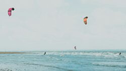 Kitesurfers